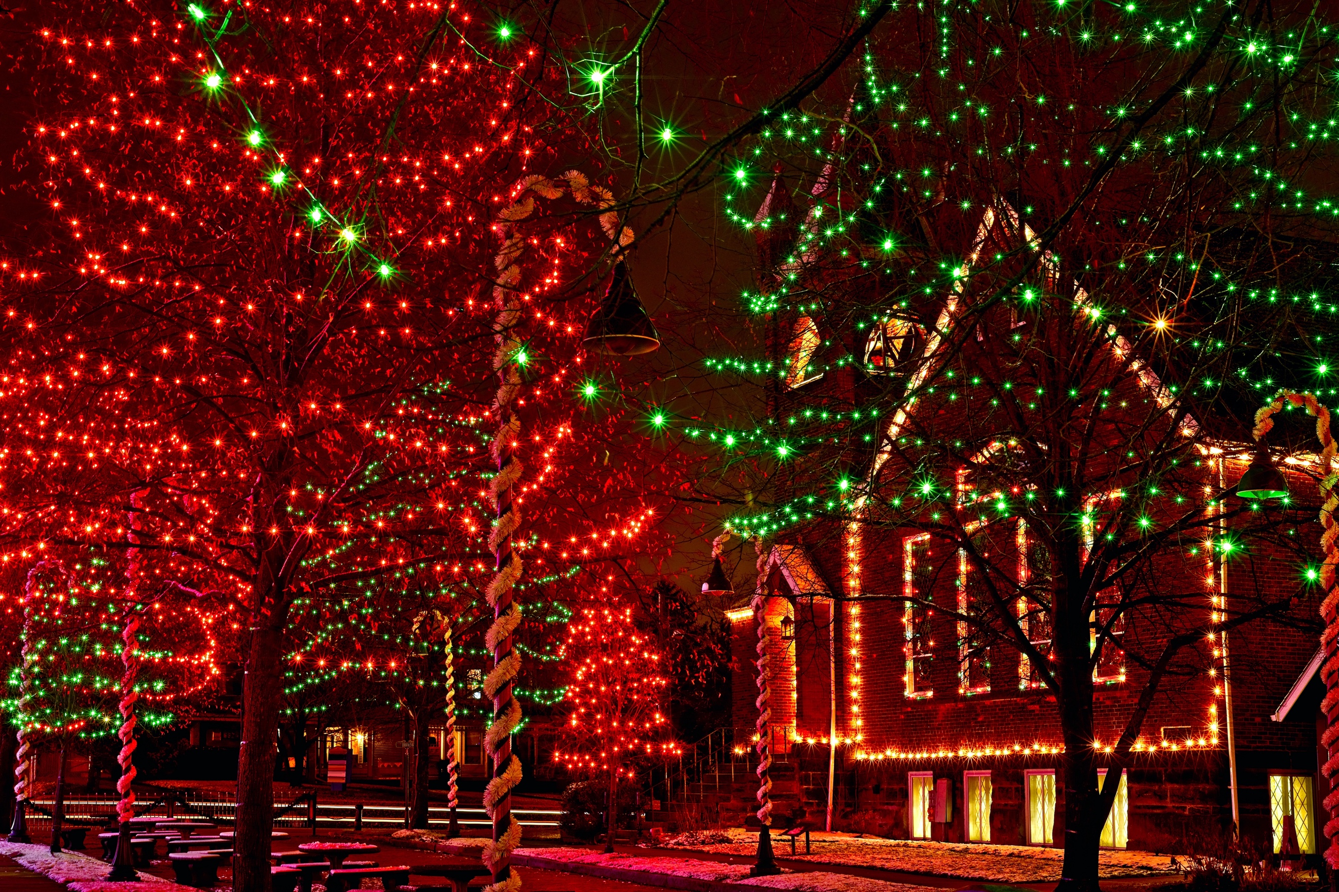 house filled with Christmas lights