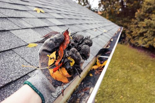 clogged gutters